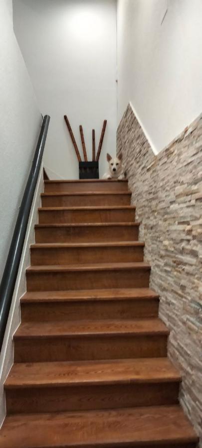 Casa Dositeo Daire Sarria Dış mekan fotoğraf